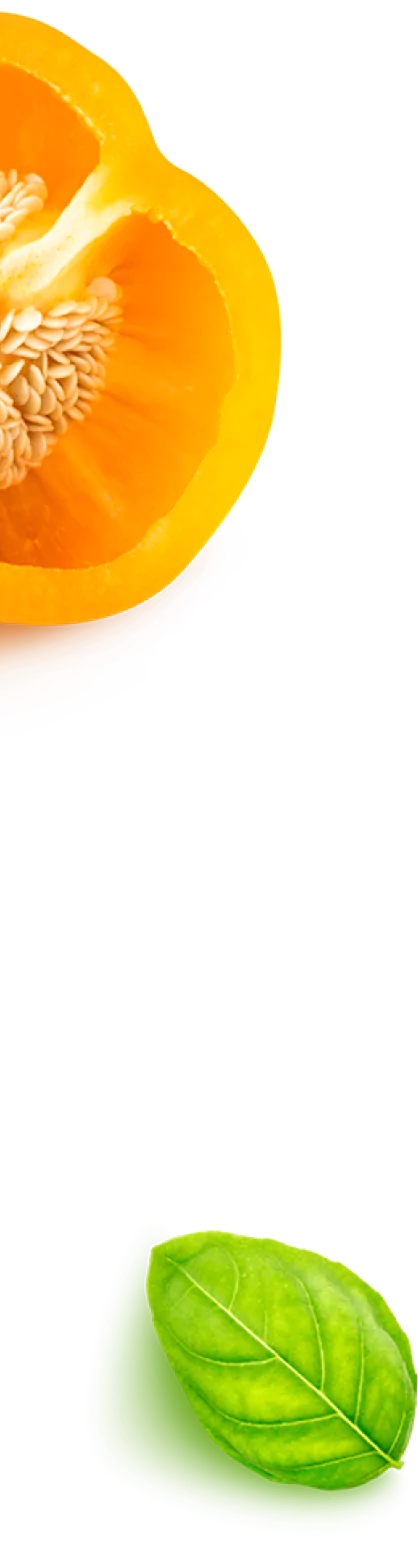 Imagem de fundo da seção