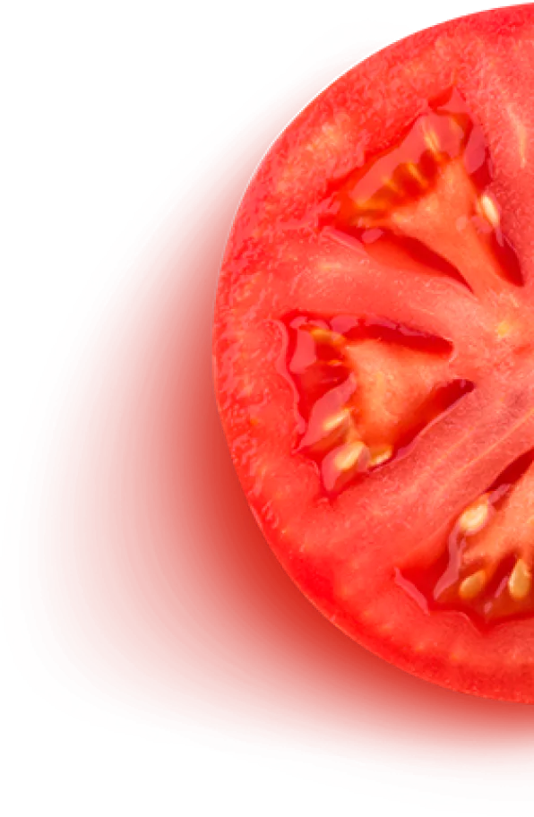 Imagem de fundo da seção