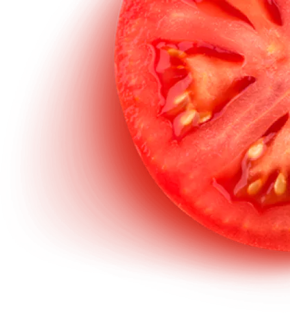 Imagem de fundo da seção